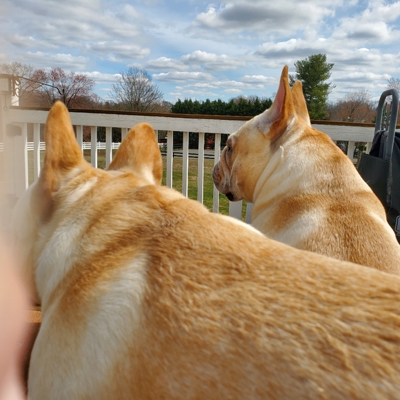 Meet your Posher, Jill - Picture 1 of 1